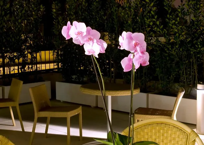 Hotel De Petris Roma