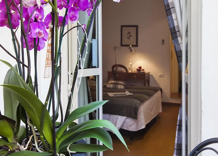 Hotel De Petris 3*